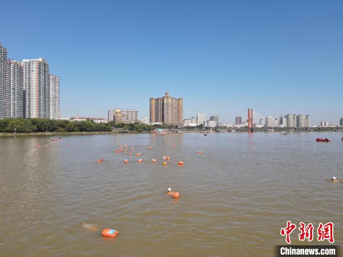 秋日清晨200名泳士横渡松花江，拉开2024吉林市全